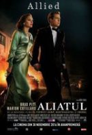 Allied (2016) – film online subtitrat