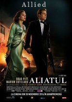 Allied (2016) – film online subtitrat