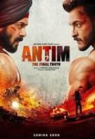 Antim: The Final Truth (2021)